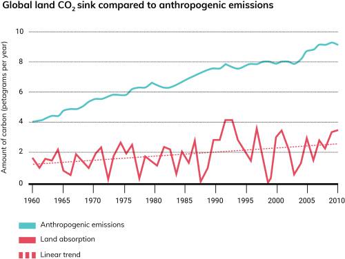 global_land_co2_sink_compared_to_anthropogenic_emissions.jpg