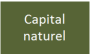 wiki:capital_naturel.png