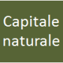 capitale_naturale.png